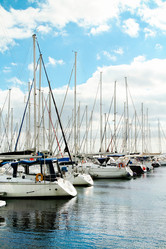 Similar image 866865