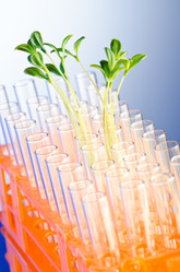 Similar image 866906