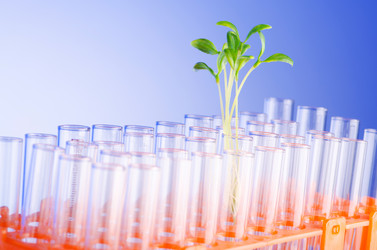 Similar image 866907