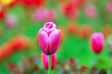 Similar image 866969