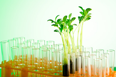 Similar image 867034