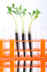 Similar image 867036