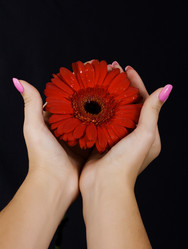 Similar image 867161