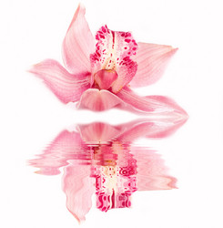 Similar image 867195