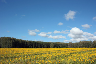 Similar image 867197