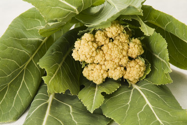 Similar image 867201