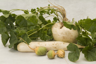 Similar image 867203