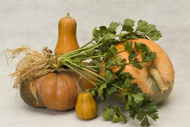 Similar image 867207