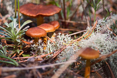 Similar image 867249