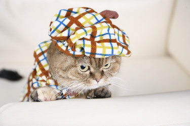 Similar image 867259