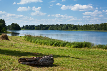 Similar image 867311