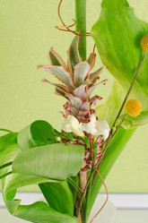 Similar image 867314