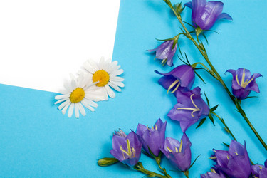 Similar image 867368