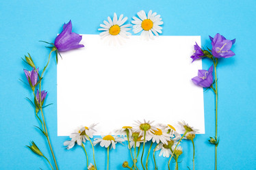 Similar image 867369