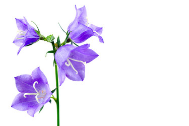 Similar image 867371