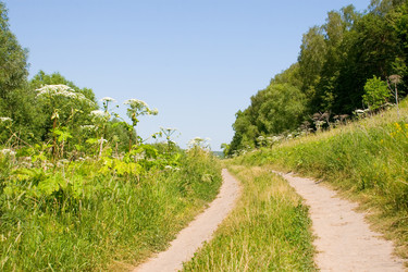 Similar image 867378