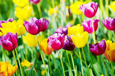 Similar image 867395