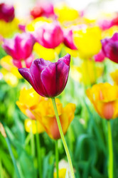 Similar image 867398