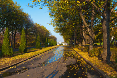 Similar image 867406