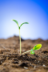 Similar image 867469