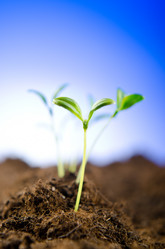 Similar image 867471