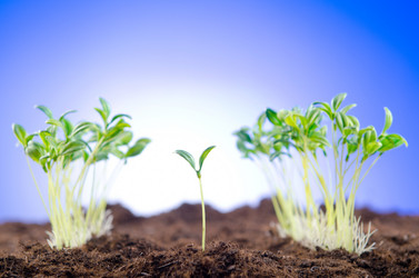 Similar image 867470