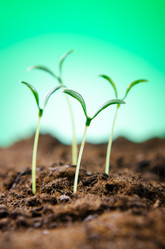 Similar image 867473