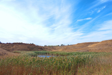 Similar image 867556