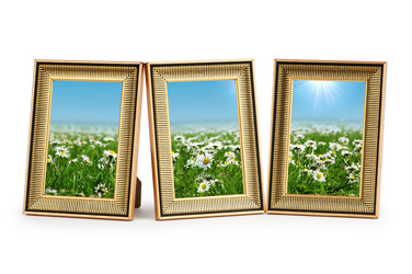 Similar image 867677