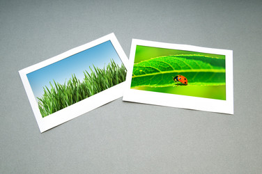 Similar image 867786