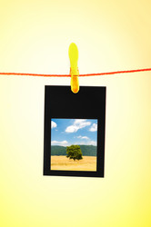 Similar image 867787