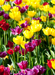 Similar image 867822