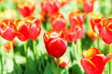 Similar image 867826