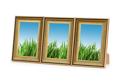 Similar image 868042