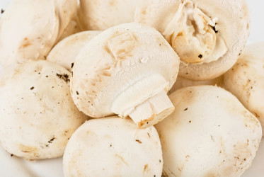 Similar image 868102