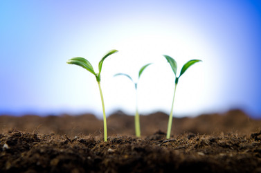 Similar image 868152