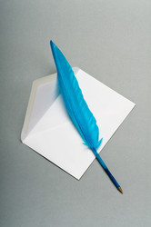 Similar image 868162