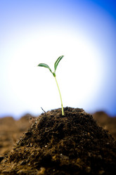 Similar image 868194