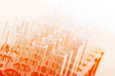 Similar image 868257