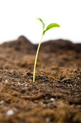 Similar image 868394