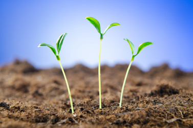 Similar image 868406