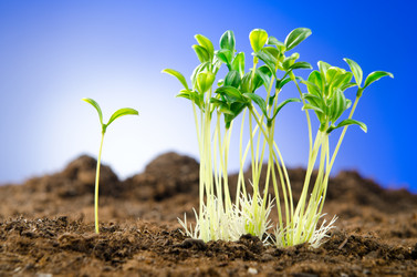 Similar image 868407