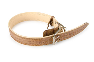 Similar image 868480