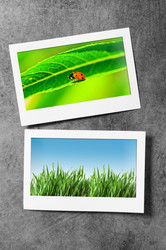 Similar image 868489