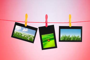 Similar image 868495