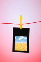 Similar image 868521