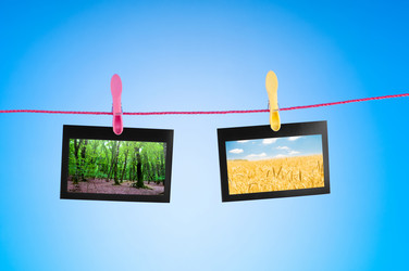 Similar image 868526