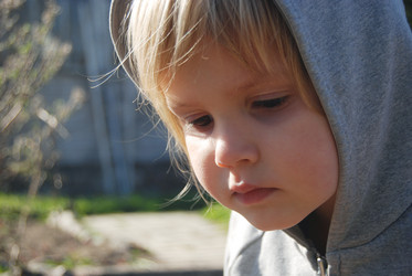 Similar image 868605