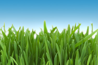 Similar image 868642