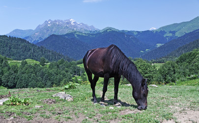 Similar image 868797